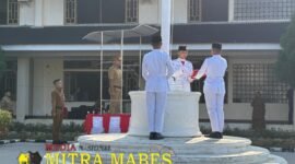 Oplus_131072