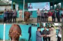 Oplus_131072