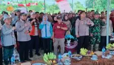 Oplus_131072
